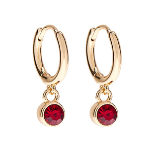 Foxy Originals January Birthstone Earring Set