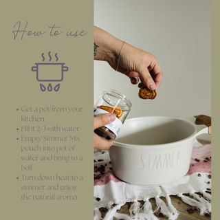 Simmer Pot Mix: Be Festive