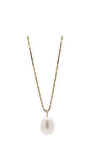 Sarah Mulder Carolyn Necklace in Gold
