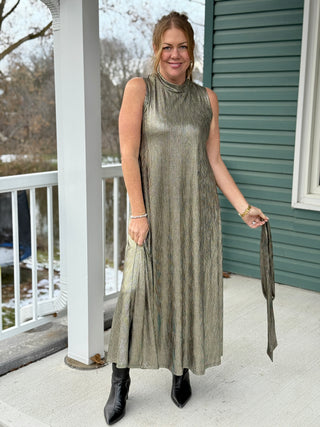 Allison Wonderland Swings Dress