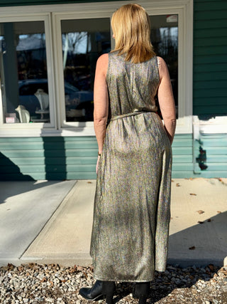 Allison Wonderland Swings Dress