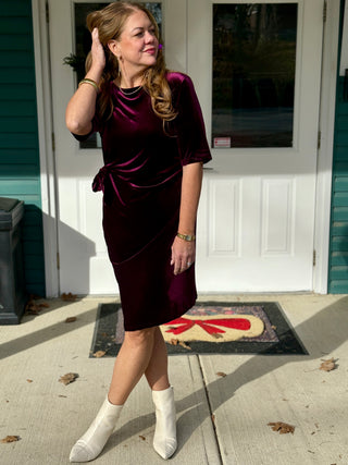 Chlo by Cokluch Rosetta Stretch Velvet Dress