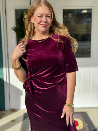 Chlo by Cokluch Rosetta Stretch Velvet Dress