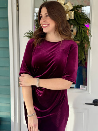 Chlo by Cokluch Rosetta Stretch Velvet Dress