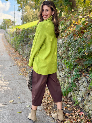 Echo Verde Dog Walker Sweater in Happy Green