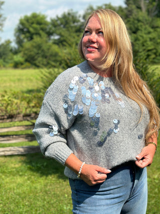 Lyla + Luxe Opal Sequins Sweater