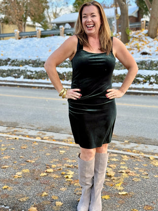 Gentle Fawn Velour Felice Dress