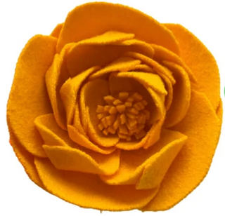 Ste Marg Scot Large Peony: Marigold