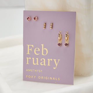 February Birthstone Earrings